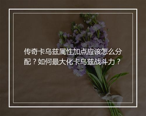 传奇卡乌兹属性加点应该怎么分配？如何最大化卡乌兹战斗力？
