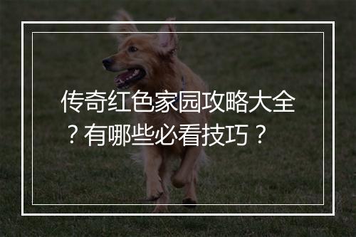 传奇红色家园攻略大全？有哪些必看技巧？