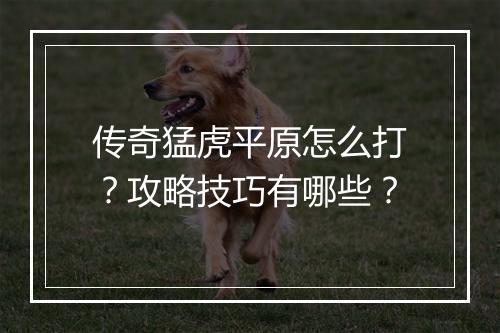 传奇猛虎平原怎么打？攻略技巧有哪些？