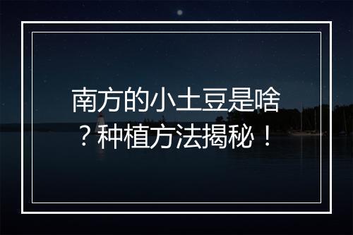 南方的小土豆是啥？种植方法揭秘！