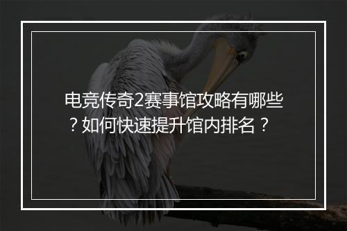 电竞传奇2赛事馆攻略有哪些？如何快速提升馆内排名？