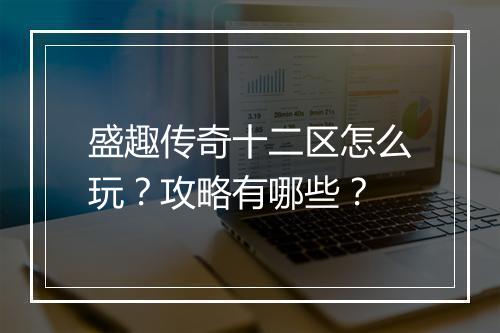 盛趣传奇十二区怎么玩？攻略有哪些？