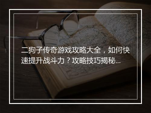 二狗子传奇游戏攻略大全，如何快速提升战斗力？攻略技巧揭秘！