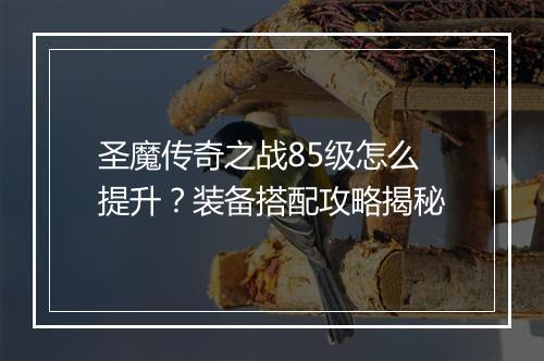 圣魔传奇之战85级怎么提升？装备搭配攻略揭秘