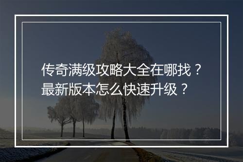 传奇满级攻略大全在哪找？最新版本怎么快速升级？