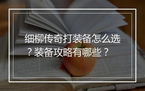 细柳传奇打装备怎么选？装备攻略有哪些？