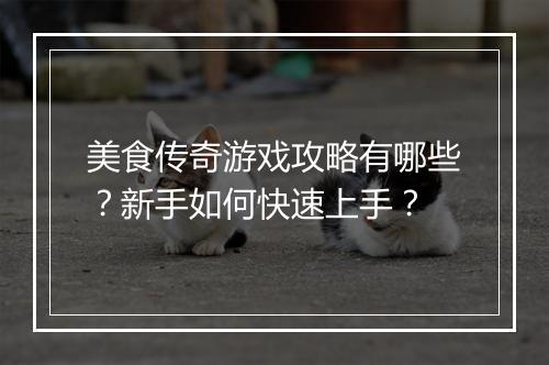 美食传奇游戏攻略有哪些？新手如何快速上手？