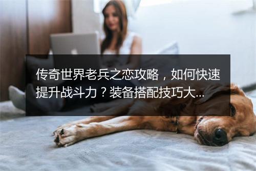 传奇世界老兵之恋攻略，如何快速提升战斗力？装备搭配技巧大揭秘