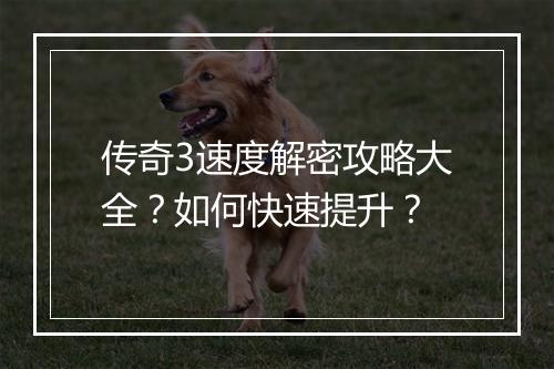 传奇3速度解密攻略大全？如何快速提升？