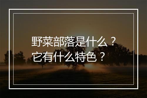 野菜部落是什么？它有什么特色？
