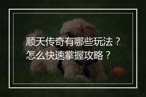 顺天传奇有哪些玩法？怎么快速掌握攻略？