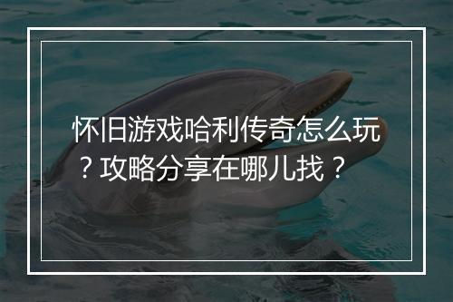 怀旧游戏哈利传奇怎么玩？攻略分享在哪儿找？