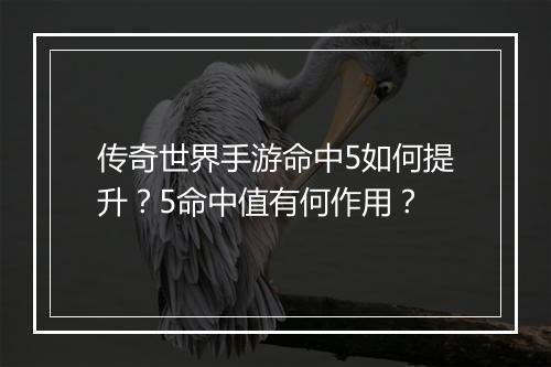 传奇世界手游命中5如何提升？5命中值有何作用？