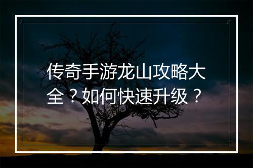 传奇手游龙山攻略大全？如何快速升级？