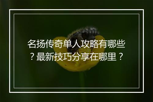 名扬传奇单人攻略有哪些？最新技巧分享在哪里？