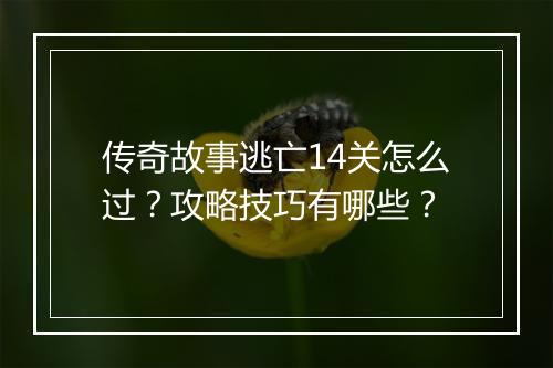 传奇故事逃亡14关怎么过？攻略技巧有哪些？