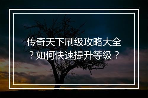 传奇天下刷级攻略大全？如何快速提升等级？