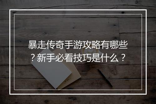 暴走传奇手游攻略有哪些？新手必看技巧是什么？