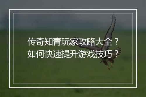 传奇知青玩家攻略大全？如何快速提升游戏技巧？