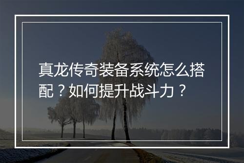 真龙传奇装备系统怎么搭配？如何提升战斗力？
