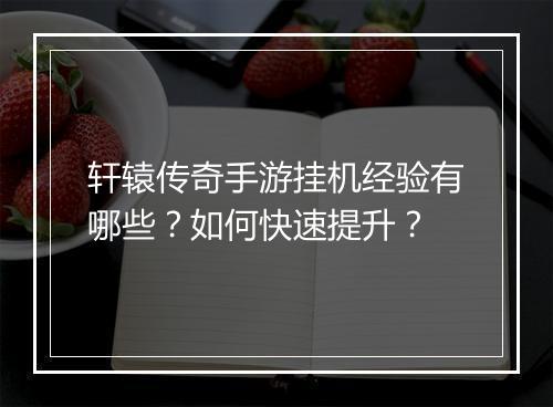 轩辕传奇手游挂机经验有哪些？如何快速提升？