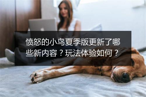 愤怒的小鸟夏季版更新了哪些新内容？玩法体验如何？