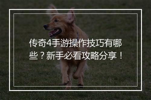 传奇4手游操作技巧有哪些？新手必看攻略分享！