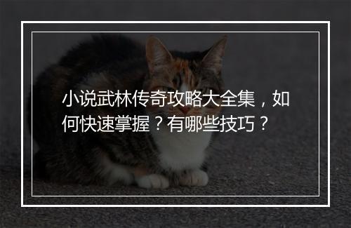 小说武林传奇攻略大全集，如何快速掌握？有哪些技巧？