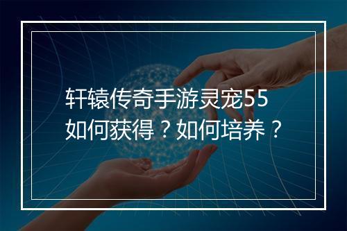 轩辕传奇手游灵宠55如何获得？如何培养？