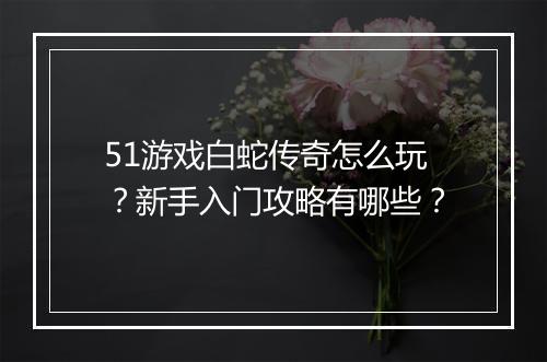 51游戏白蛇传奇怎么玩？新手入门攻略有哪些？