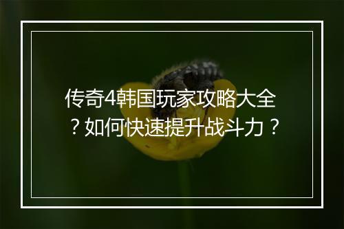 传奇4韩国玩家攻略大全？如何快速提升战斗力？