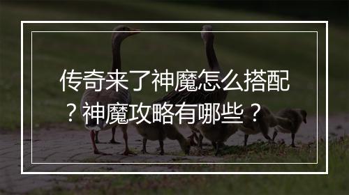 传奇来了神魔怎么搭配？神魔攻略有哪些？