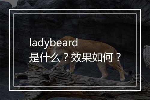 ladybeard是什么？效果如何？