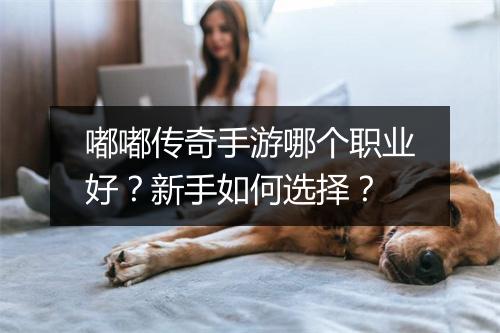 嘟嘟传奇手游哪个职业好？新手如何选择？