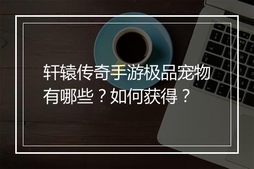 轩辕传奇手游极品宠物有哪些？如何获得？