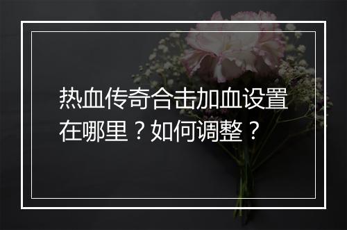 热血传奇合击加血设置在哪里？如何调整？