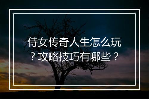 侍女传奇人生怎么玩？攻略技巧有哪些？