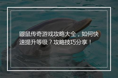 鼹鼠传奇游戏攻略大全，如何快速提升等级？攻略技巧分享！