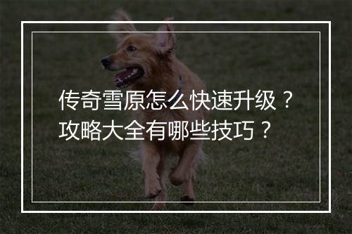 传奇雪原怎么快速升级？攻略大全有哪些技巧？