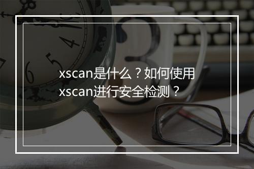 xscan是什么？如何使用xscan进行安全检测？