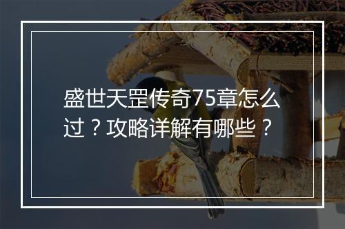 盛世天罡传奇75章怎么过？攻略详解有哪些？