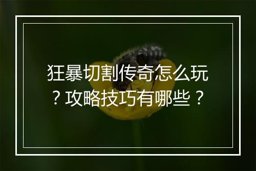 狂暴切割传奇怎么玩？攻略技巧有哪些？