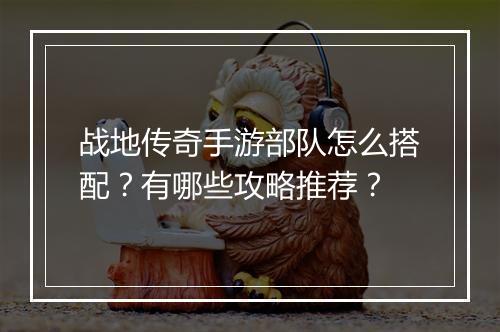 战地传奇手游部队怎么搭配？有哪些攻略推荐？