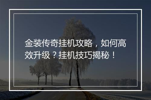 金装传奇挂机攻略，如何高效升级？挂机技巧揭秘！
