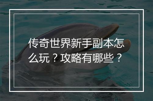 传奇世界新手副本怎么玩？攻略有哪些？