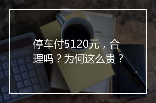 停车付5120元，合理吗？为何这么贵？
