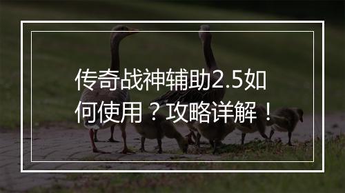 传奇战神辅助2.5如何使用？攻略详解！