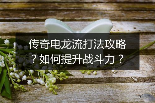传奇电龙流打法攻略？如何提升战斗力？