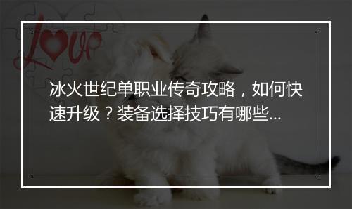 冰火世纪单职业传奇攻略，如何快速升级？装备选择技巧有哪些？