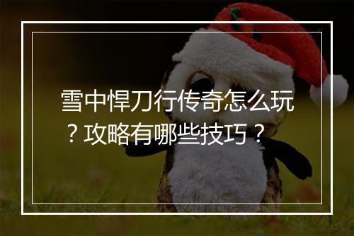 雪中悍刀行传奇怎么玩？攻略有哪些技巧？